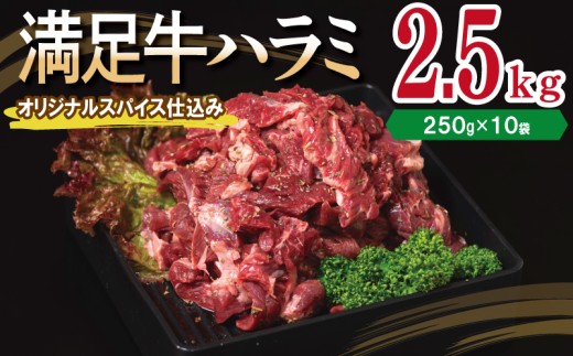y{򍲖szyn~zIWiXpCXd v2.5kg yt n~  Ă ȒP BBQ  250g×10Pz