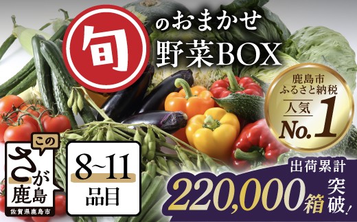 限定☆旬のお野菜詰め合わせセット『定期便12回』_特別栽培 定期便12ヶ月】旬のおまかせ野菜BOX 定期便 詰め合わせ 【8～10