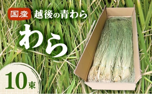 yVVszYz̐ 10  ߏ CeA nhCh Y V z