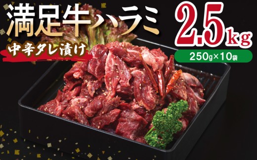 y{򍲖szyn~zh^Ђ v2.5kg yt n~  Ă ȒP BBQ  250g×10Pz