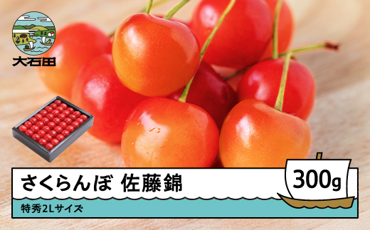 山形県産 佐藤錦 1kg ✖️2箱 贈答用 クール便付き さくらんぼ 佐藤