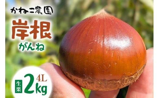 [ミッキー]生栗　10kg Lサイズ 三重県産　農家直送 楽天市場】生栗 10kgの通販