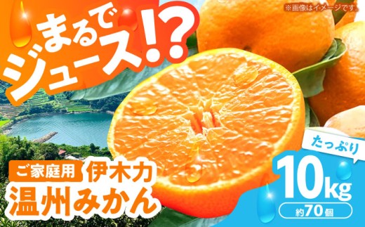 ①温州みかん 樹熟大坊みかん 優品(家庭用傷あり)2S、S、10kg 2027年1月より順次発送／先行予約】伊木力温州みかん 10kg（ご家庭用