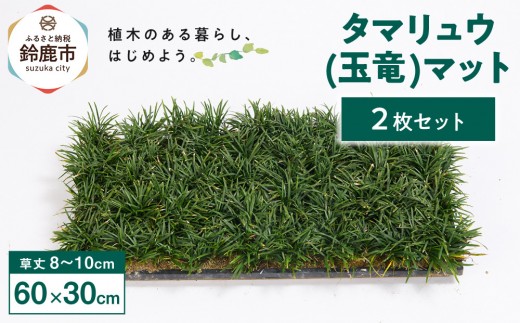 yOd鎭sz^}E(ʗ)}bg 2Zbg(60cm×30cm)