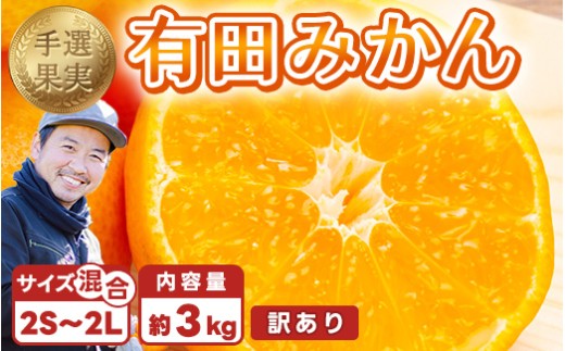 【和歌山県美浜町】【まごころ手選別】和歌山産 有田みかん 3kg 家庭用(2S〜2Lサイズ混合) ※2025年11月上旬〜2026年1月下旬頃に順次発送予定
