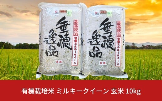 新潟県産コシヒカリ　令和6年　三等米 令和6年産 新潟県産 コシヒカリ 5kg | JTBショッピング