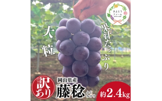 yRÎRsz2026Ns\񁄖󂠂 Ȃ {bP[l() 2.4kg (RY)y1632754z