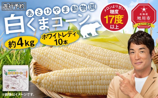 先行予約】あさひやま動物園しろくまコーン約4kg(ホワイトレディ