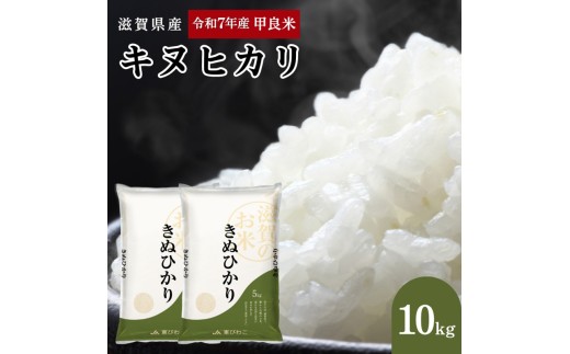 先行予約】令和7年産甲良米「キヌヒカリ」白米 10kg お米 こめ