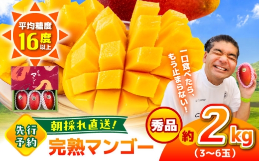 2026年発送分 先行予約】秀品 菊池マンゴー約2kg（3〜6玉） L〜3L
