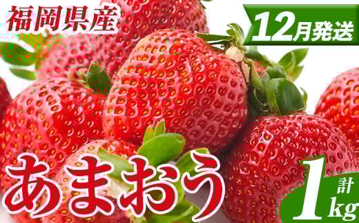 yzs\tI2025N12\聄 Y ܂ (v1kgE250g×4pbN)  C`S  Xgx[ ʕ t[c  fU[g XC[c   A