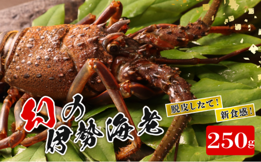 ytsz̈ɐCViEď_炩gj 250g i1j ɐGr CV Ⓚ y tw K{ z EɐCV    Y ɐ \㗢 Gr I hg Hp CN V