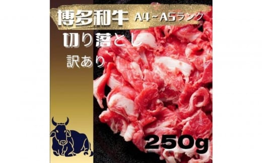 【福岡県大任町】【定期便全6回】【訳あり】【A4?A5ランク】博多和牛 切り落とし 250g