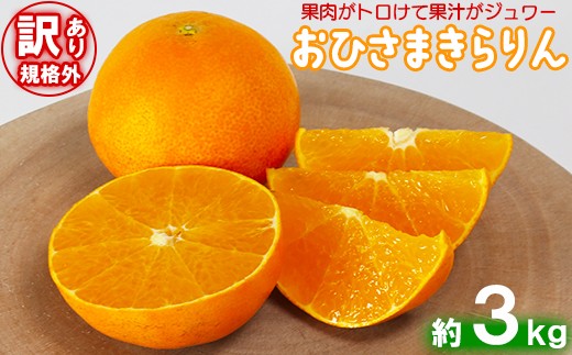 おひさまさんさん品！ 佐賀錦、宝石のおひなさま – 人形工房 左京