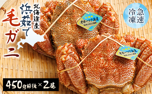 北海道産 浜茹で毛ガニ 450g前後×2尾_毛ガニ 毛蟹 カニ 蟹 北海道 2尾