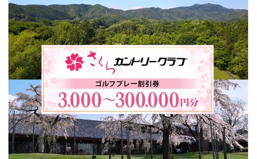 y򕌌SÒzJg[NuiStv[j Iׂ 3,000~ 15,000~ 30,000~ 90,000~ 150,000~ 300,000~ (13)