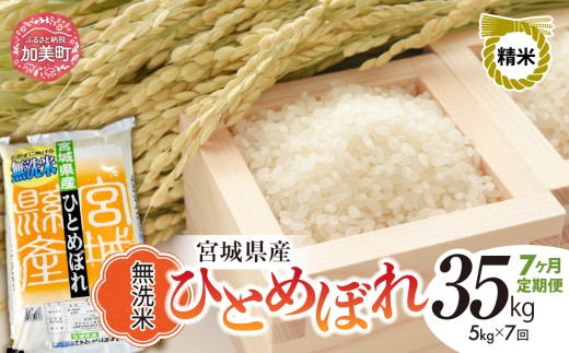 y{錧zy 7  z ߘa7NxY { ЂƂ߂ڂ v 35kg i 5kg × 7 j b čH {錧  sw-hb05-mu-t7-r7 b qg{  R  ͂