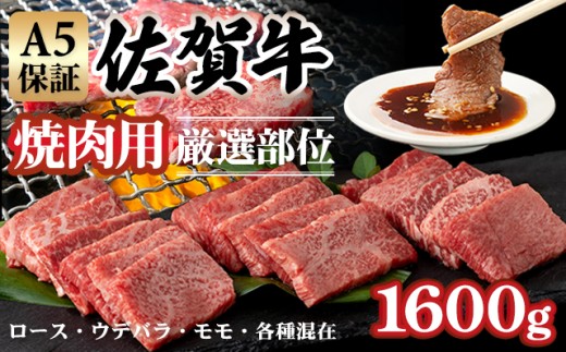 yꌧszyꋍz y12zA5 ēp I 1,600gi400g×4PjK{Y uh јa ē B ꋍ A5 ؂ Ă ₫ɂ lC LO ē ]  