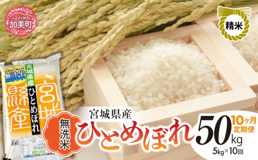 y{錧zy 10  zV  ߘa7NxY { ЂƂ߂ڂ 50kgi5kg×10 jb čH {錧  sw-hb05-mu-t10-r7 b qg{  R  ͂