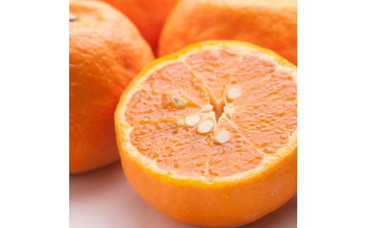 ya̎Rxczms\nI J}_2.5kg+250giݕ⏞jmÊCEȂ݁nm󏭂ȏtknm݂Ɠ悤ɐHׂ܂nmIKE66n