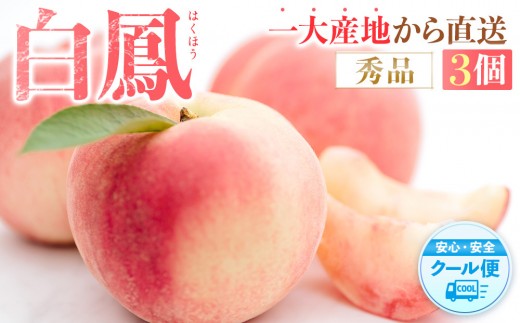 ya̎Ra̎Rszs̔Imn P@̉lIHׂ₷Rm2026N6{菇nmGin_ƌI mKG17n