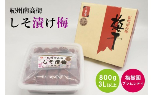 ya̎R݂ȂגzyIzЂ~ 800g 3Lȏ baijuen010A