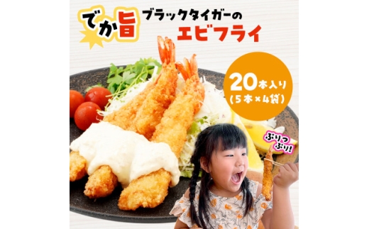 y茧{Îszł|!ubN^CK[̃GrtC 20{Zbg 18`20cm W{GrtCy1650576z