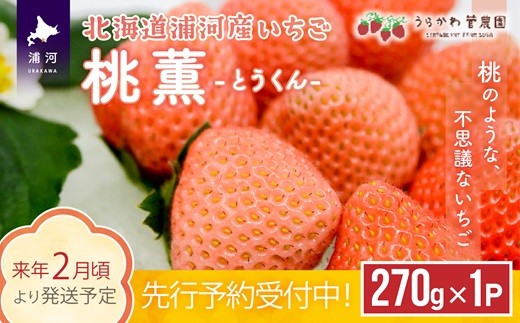 先行受付開始！】北海道浦河産いちご「桃薫」270g×1P[13-279] - 北海道