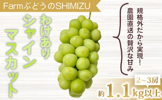 清水農園】わけありシャインマスカット約1.1kg（2～3房）※2025年