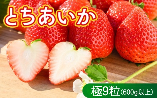 いちご（とちあいか 極）9粒 600g以上｜先行予約 数量限定 栃木県 果物