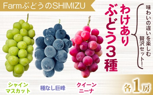 売約済み 購入不可！ 先行受付2026年発送】わけあり3種のぶどうミックスセット（クイーン