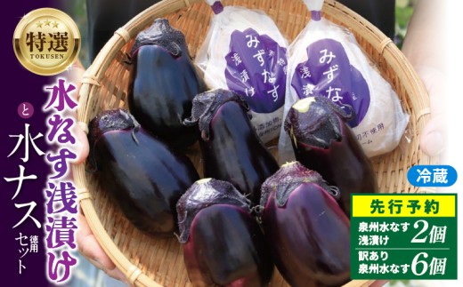 先行予約】特選 無添加 水なす漬け 徳用水ナス セット【食べ比べ 新鮮