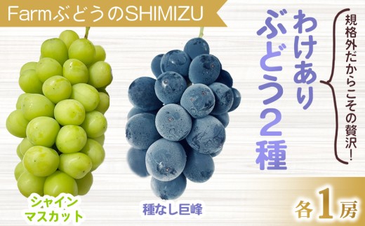ぶどう農園直送⚠️さま用　vuvvセット ぶどう農園直送⚠️さま用 vuvvセット ぶどう農園直送⚠️さま用 vuvv