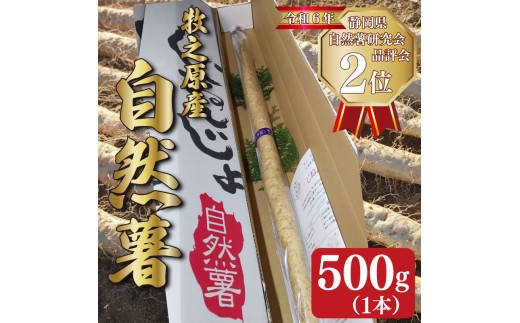 1名様限定 自然薯 短形自然薯 3～5kg 農薬不使用 山芋 ゆうパック発送
