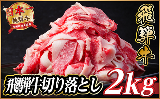 y򕌌Hszˋ@؂藎Ƃ@2kg(500g×4pbN)①ցA4`A5 јa y1531516z