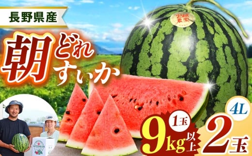 スイカ　なす　セット販売　限定　ブランドスイカ　贈答用　農家直送　新鮮野菜 スイカ なす セット販売 限定 ブランドスイカ 贈答用 農家直送