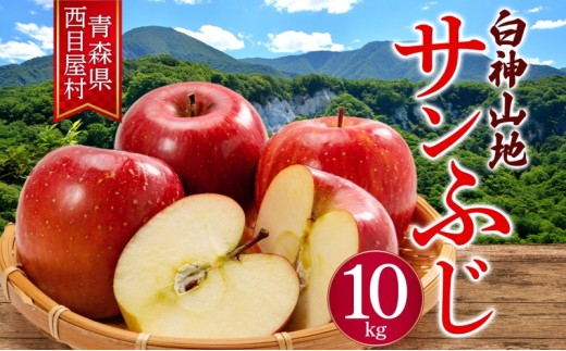 yXډzډY Tӂ 10kg ʕ ь S ui̗_ Â W[V[ VLVL Yn  X ډ
