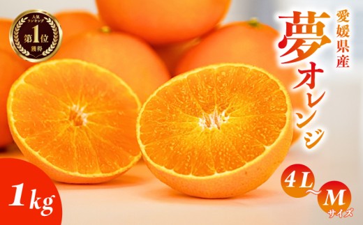 yQ쒬zy󂠂z݂El̖IW 1kg k ʕ t[c Q ݂Elc  28 Qʎ28 ܂ǂ 召~bNXTCY x ZT[ v K 