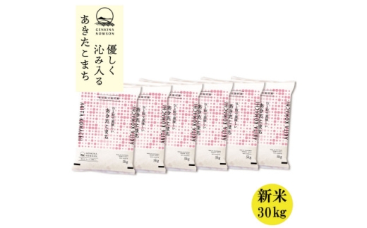 yHc劃zHcY \tJn!܂ߘa7NY30kg(5kg×6)s10{蔭ty1637060z