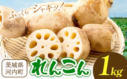 y錧͓z@ 1kg ܂Â͓Ђ킿ys30ȓɏoח\(yj)t 錧 ͓ @ 񂱂 R 