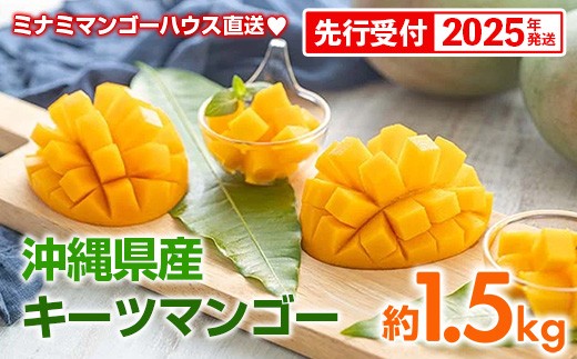 ※ もも様ご注文品※沖縄県産ミニマンゴー3kg 2025年発送】宇地原農園の沖縄県産 ミニマンゴー 約1.3kg