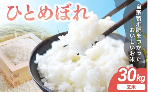 ひとめぼれ宮城県産 令和米6年収穫 玄米30キロ 宮城県登米