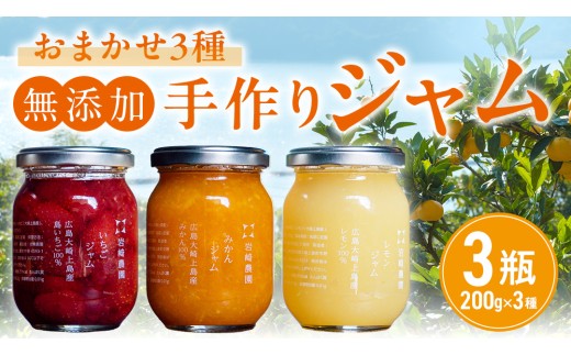 岩﨑農園 無添加 手作り ジャム 200g 3本 広島県 大崎上島町 瀬戸内
