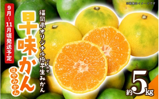 【らんらん☆】極早生大ブスみかん6Kｇ+蜂蜜600ｇ×2本 先行受付】2026年の秋に配送！福岡県オリジナル品種極早生みかん『早味