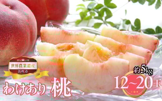 yRJszy2026Ns\zRJsY@ƒp(킯)@5kg@12ʁ`20 223-016-26y