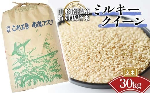 令和7年産 新米 先行予約】 特別栽培米 つや姫 (玄米) 30kg 《令