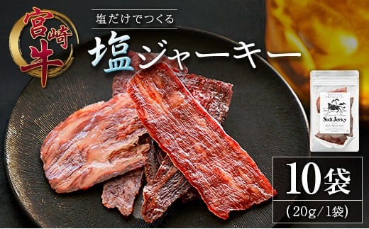 【宮崎県】塩だけでつくる 宮崎牛 塩ジャーキー 10袋(20g×10袋)ブランド牛 ビーフジャーキー おつまみ 珍味 グルメ 干し肉 宮崎県産