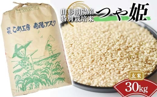 令和7年産 新米 先行予約】 特別栽培米 つや姫 (玄米) 30kg 《令