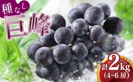 y蒬z y2026N8{甭z s\ Ȃ  Ȃ 2026 Qkg 4`6[ ① Ԃǂ   t[c 蒬 _  ʌ