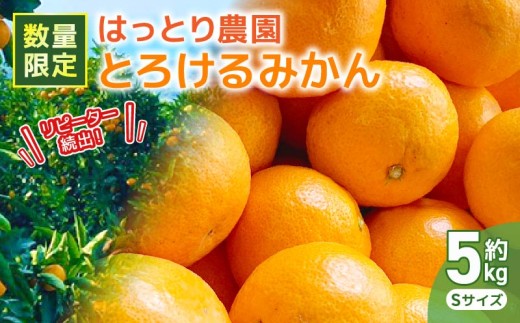 大好評につき在庫追加で再登場！】安田町生まれはっとり育ち。の